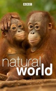 Natural World movie