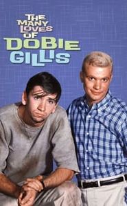 The Many Loves of Dobie Gillis movie