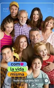 Como la vida misma movie