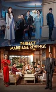 Perfect Marriage Revenge movie
