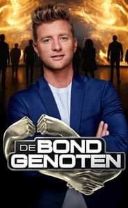 De Bondgenoten movie
