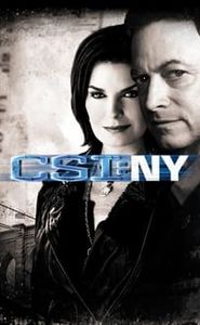 Les Experts : Manhattan movie