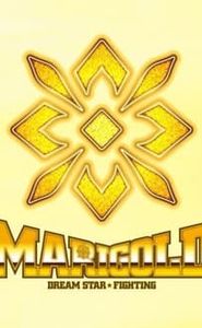 マリーゴールド movie