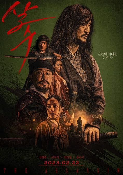 The Assassin movie
