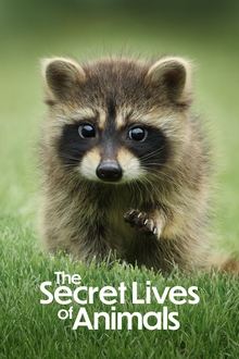 The Secret Lives of Animals movie
