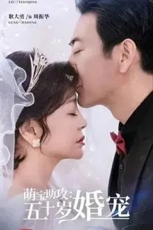 萌宝助攻:五十岁婚宠 movie