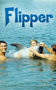 Flipper le dauphin movie