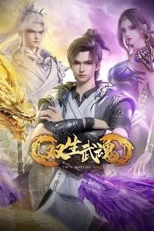 双生武魂 movie