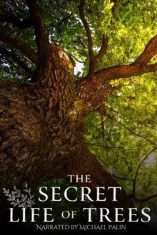 The Secret Life of Trees movie