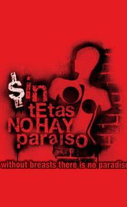Sin tetas no hay paraíso movie