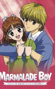 Marmalade Boy movie