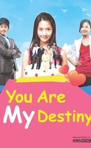 너는 내 운명 movie