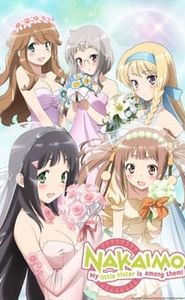 Kono Naka Ni Hitori, Imouto Ga Iru ! movie