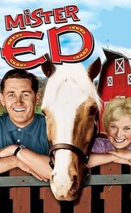 Monsieur Ed, le cheval qui parle movie
