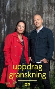 Uppdrag granskning movie