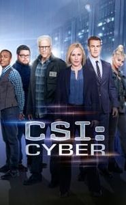 Les Experts : Cyber movie