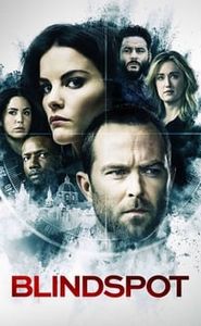 Blindspot movie