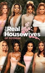 Les Real Housewives de Potomac movie