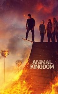 Animal Kingdom movie
