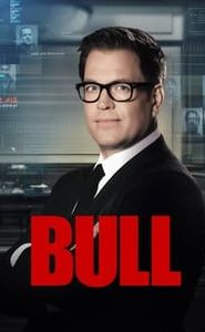 Bull Bull-hd