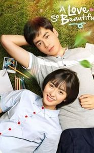 A Love So Beautiful movie
