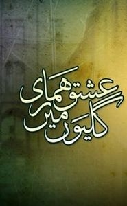 عشق ہماری گلیوں میں movie