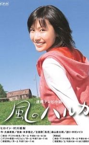 風のハルカ movie