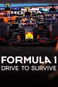 Formula 1 : Pilotes de leur destin movie