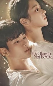 It's Okay to Not Be Okay movie